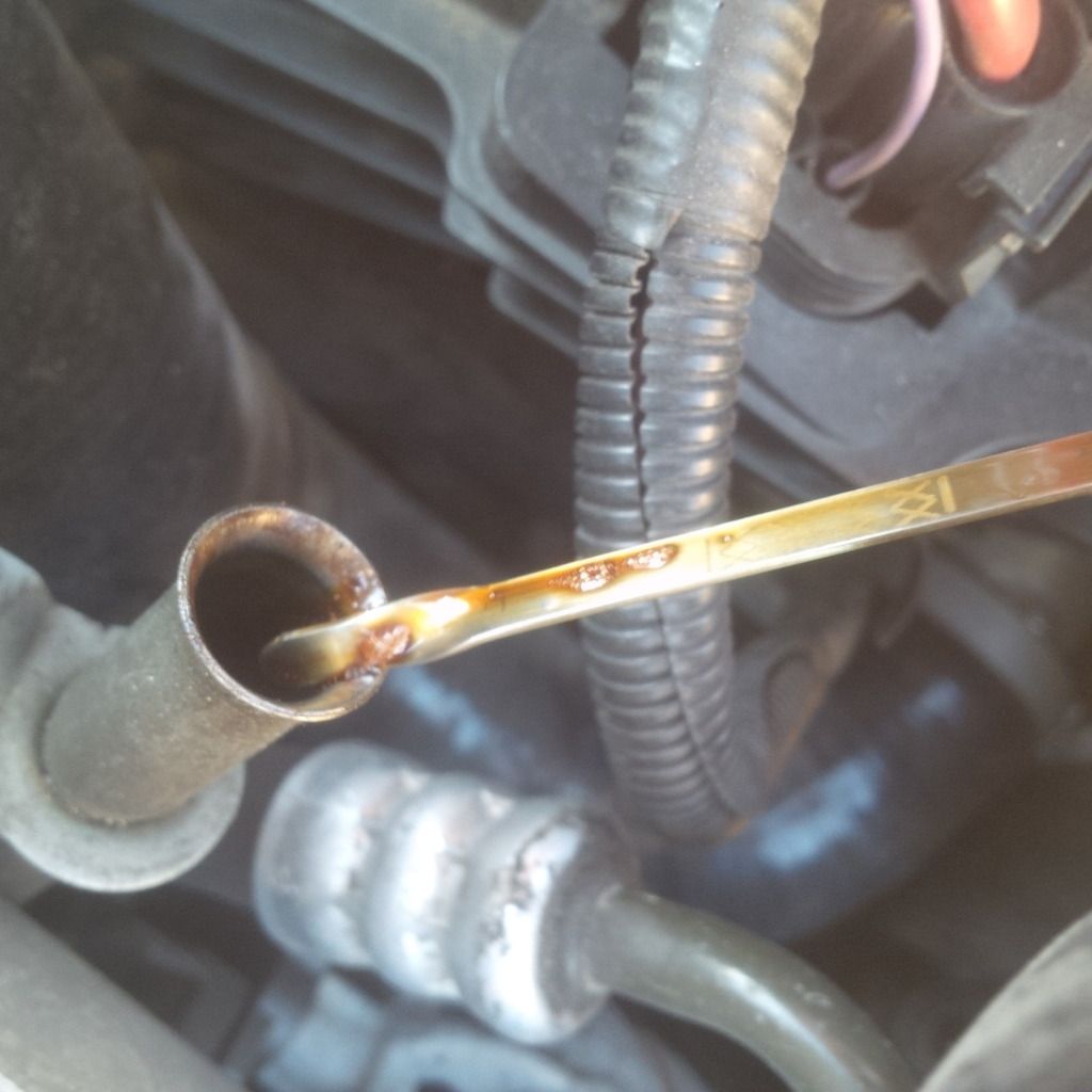 Bubbles on my oil dipstick? SwedeSpeed Volvo Performance Forum